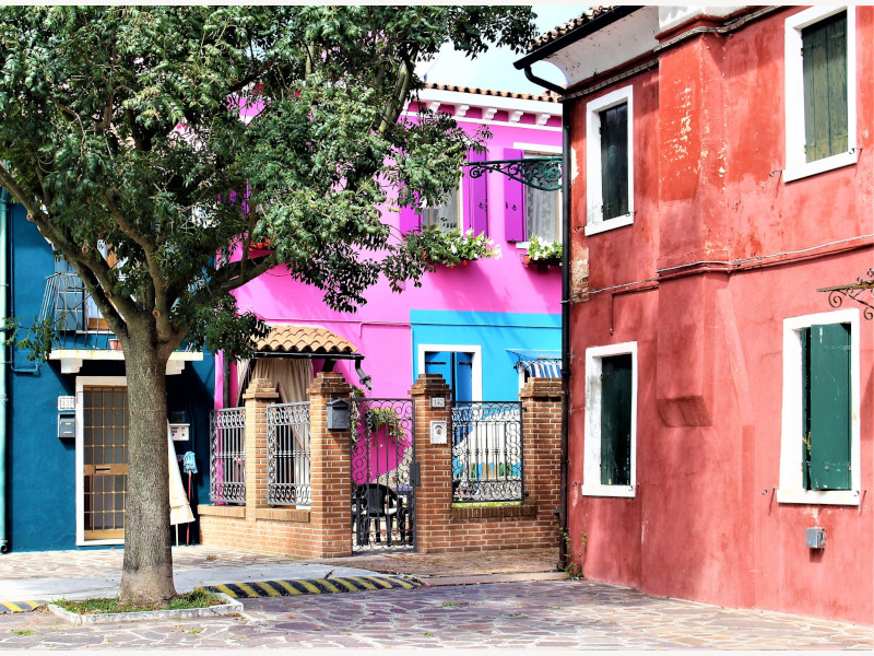 case colorate albero in primo piano